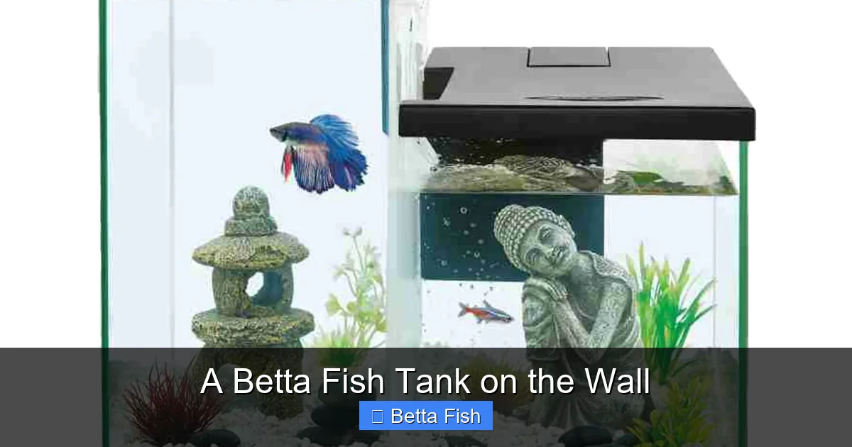 A Betta Fish Tank on the Wall