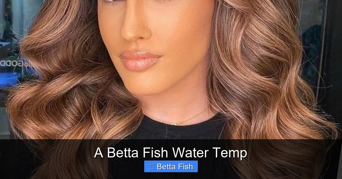 A Betta Fish Water Temp