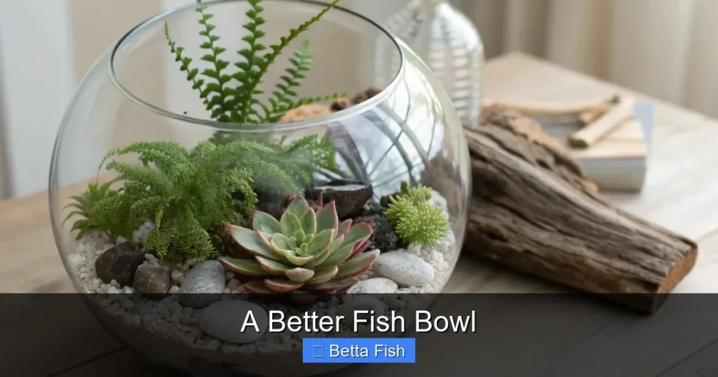 A Better Fish Bowl