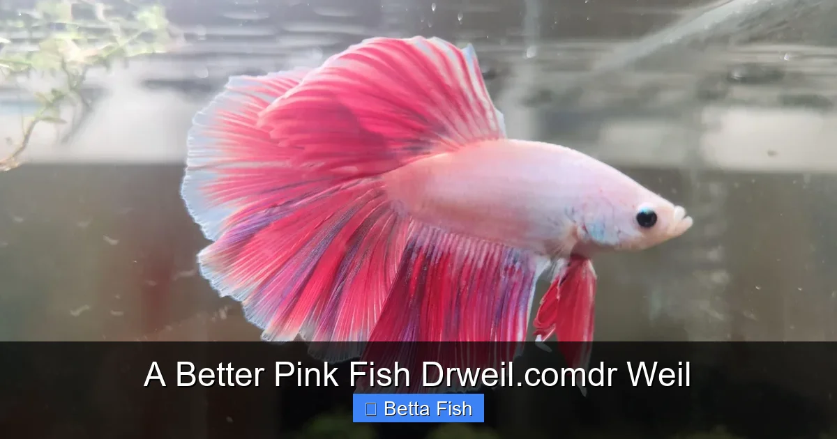 A Better Pink Fish Drweil.comdr Weil