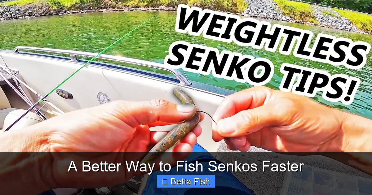 A Better Way to Fish Senkos Faster