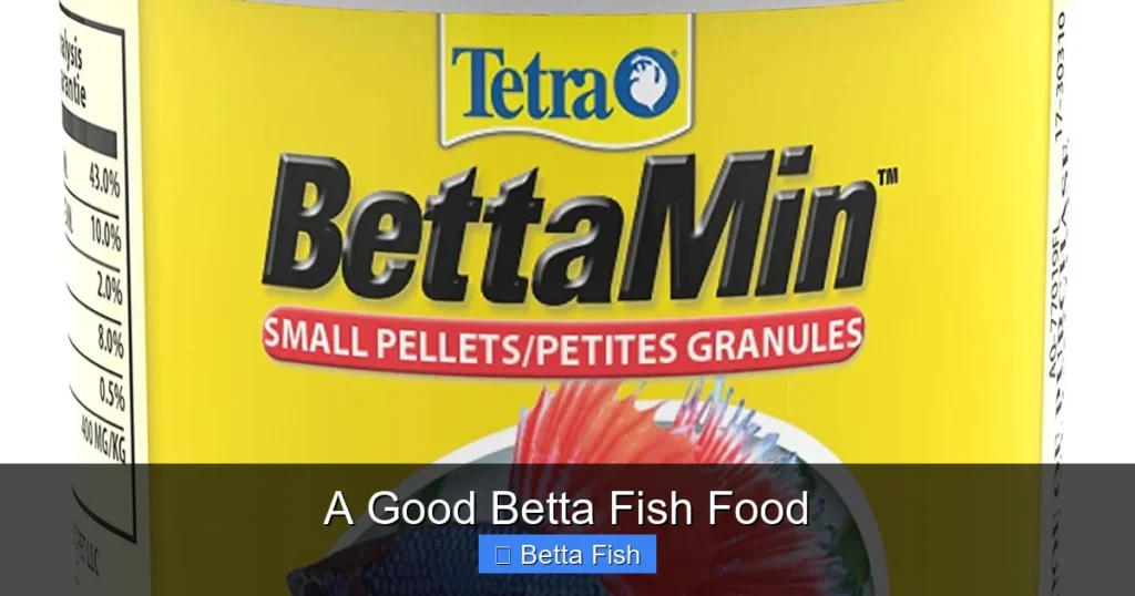 A Good Betta Fish Food