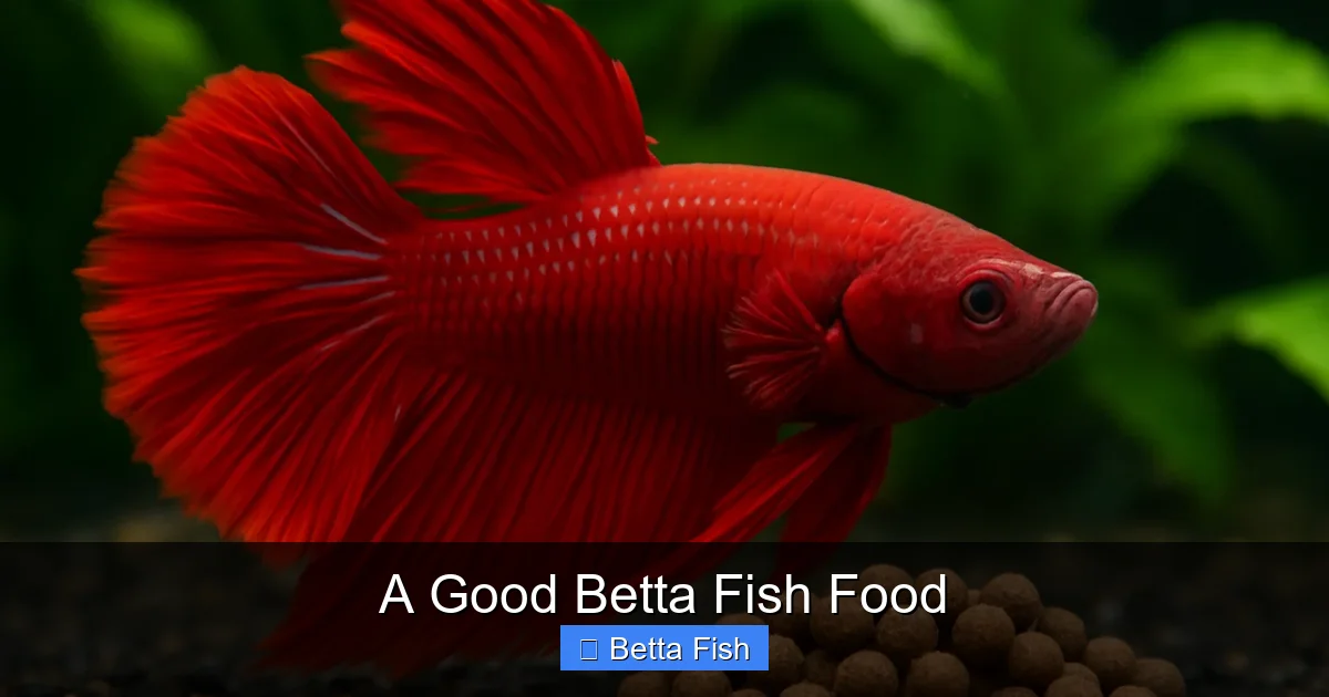 A Good Betta Fish Food