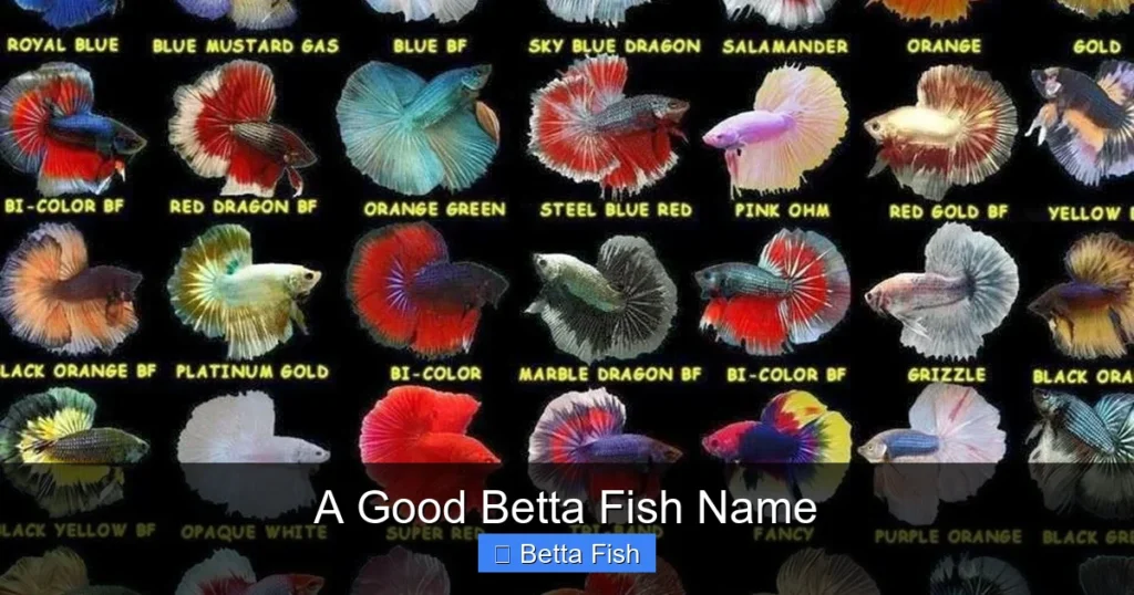 A Good Betta Fish Name