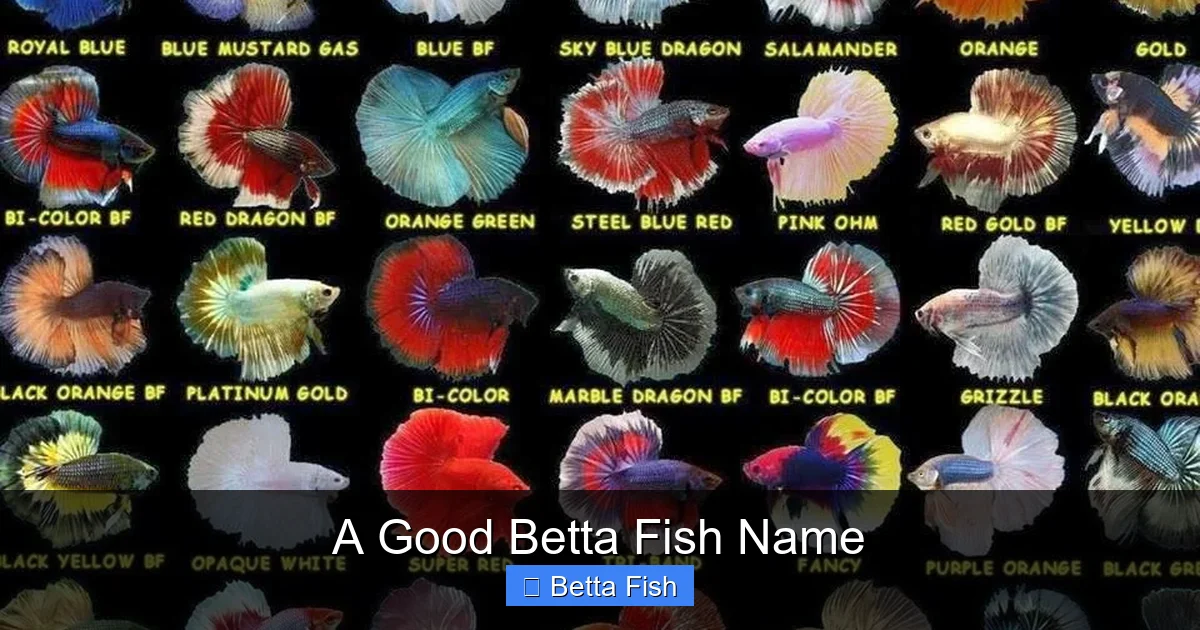 A Good Betta Fish Name