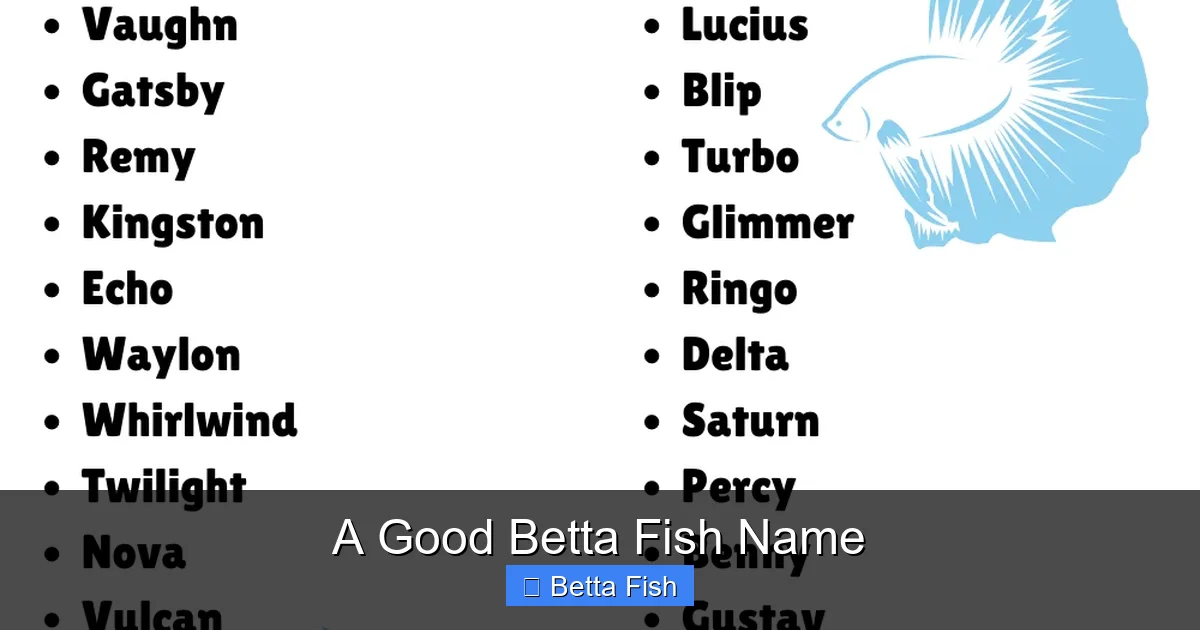 A Good Betta Fish Name