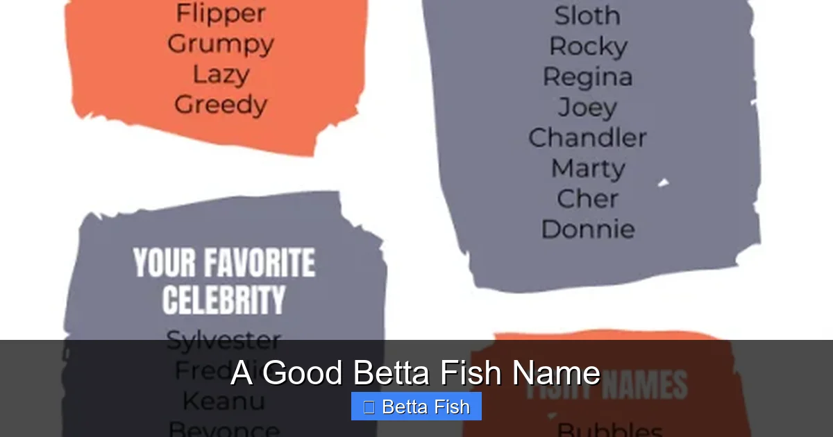 A Good Betta Fish Name