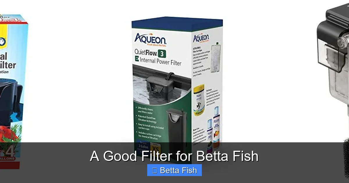 A Good Filter for Betta Fish