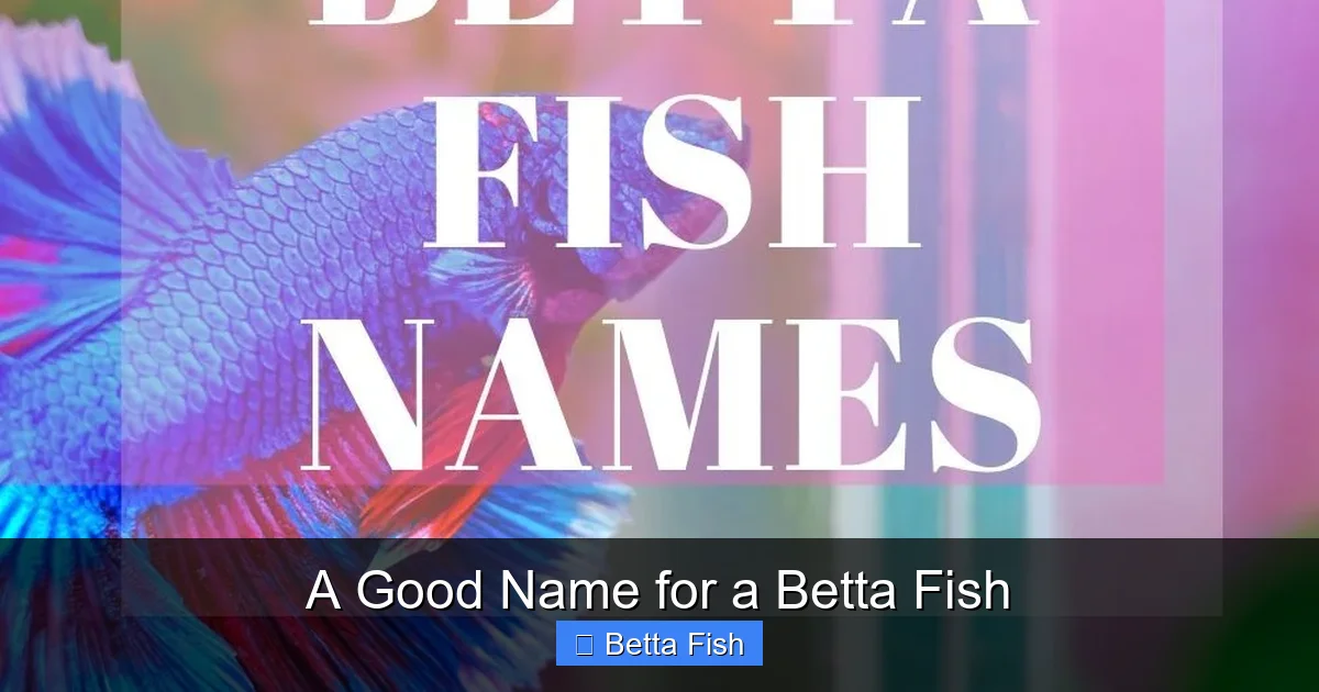 A Good Name for a Betta Fish