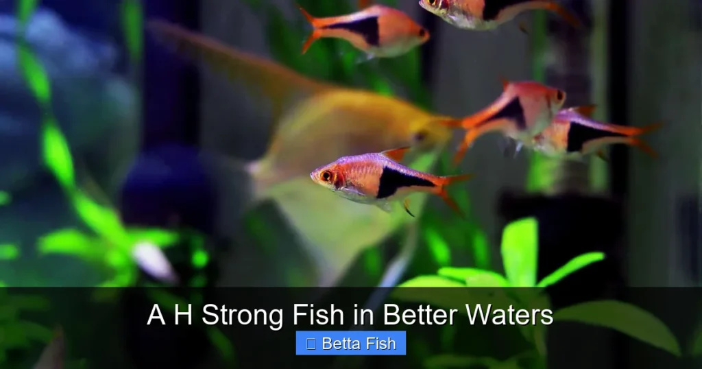 A H Strong Fish in Better Waters