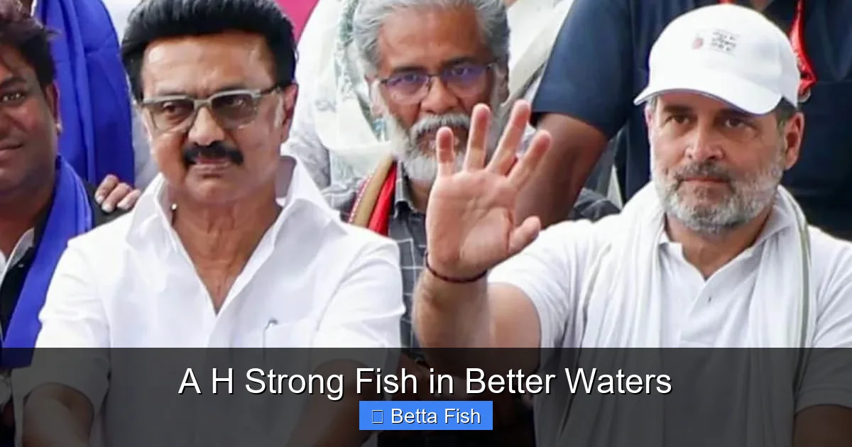 A H Strong Fish in Better Waters