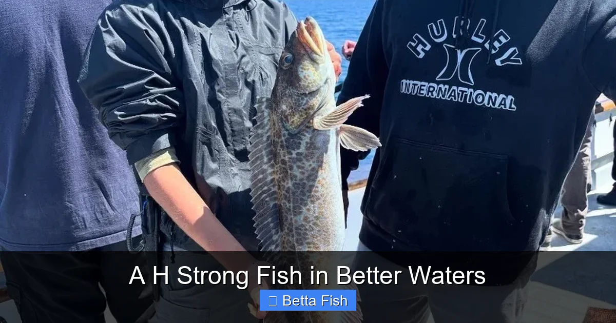 A H Strong Fish in Better Waters