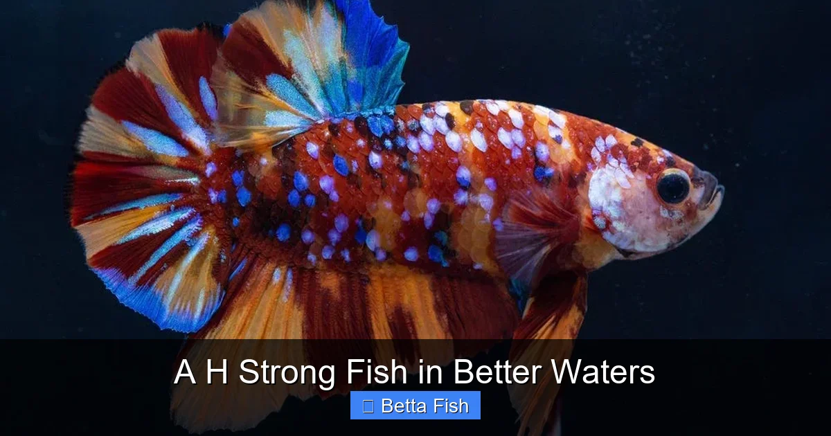A H Strong Fish in Better Waters