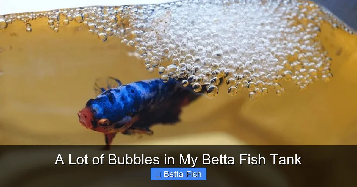 A Lot of Bubbles in My Betta Fish Tank