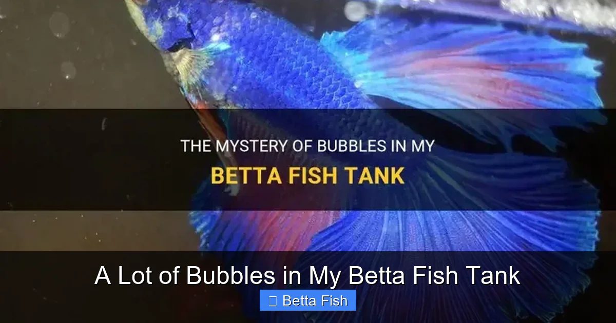 A Lot of Bubbles in My Betta Fish Tank