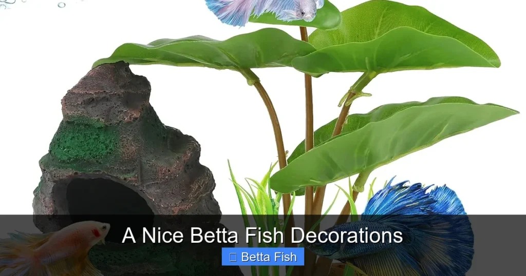 A Nice Betta Fish Decorations