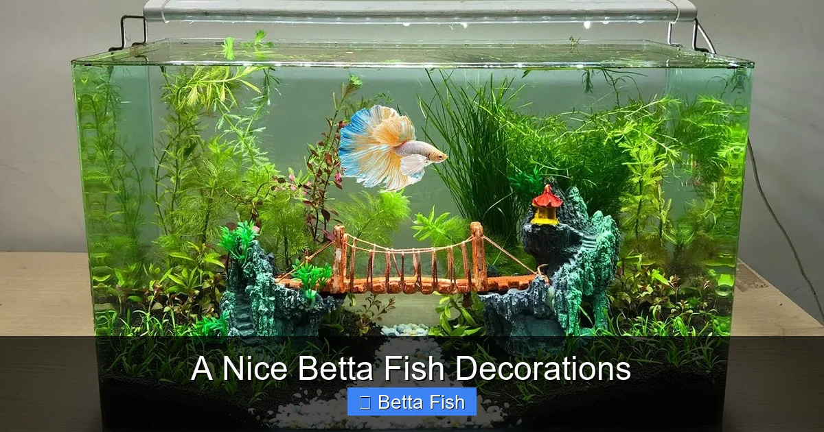 A Nice Betta Fish Decorations
