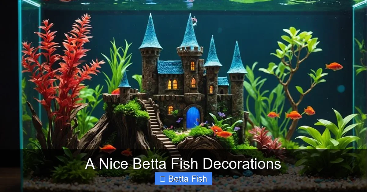 A Nice Betta Fish Decorations