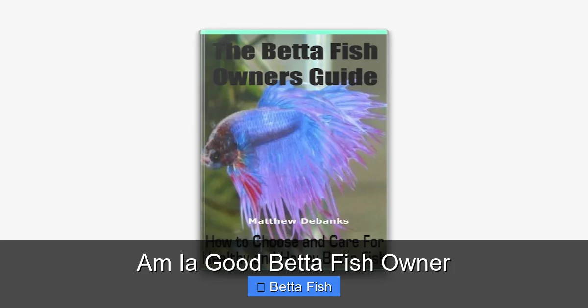 Am Ia Good Betta Fish Owner