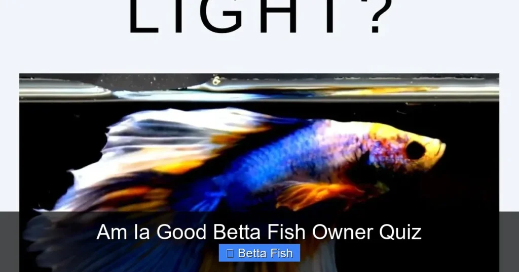 Am Ia Good Betta Fish Owner Quiz
