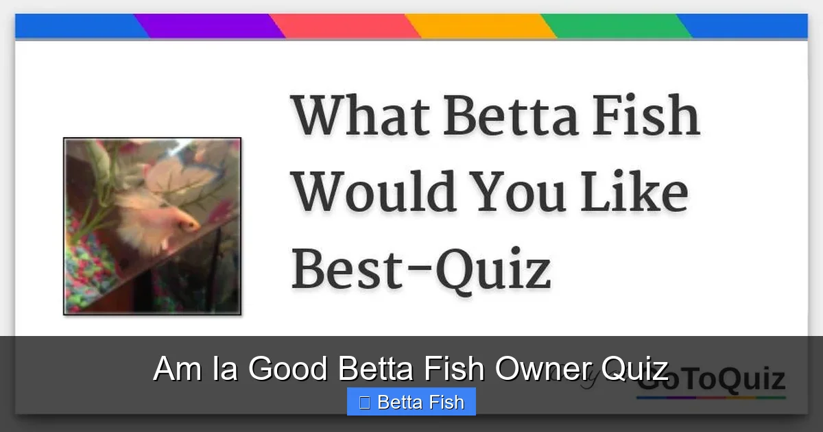 Am Ia Good Betta Fish Owner Quiz