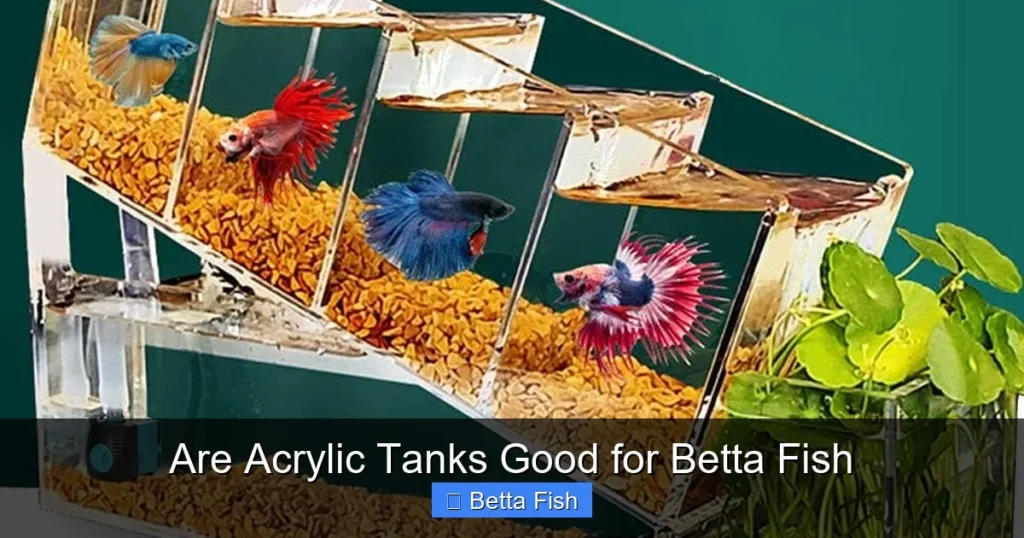 Are Acrylic Tanks Good for Betta Fish