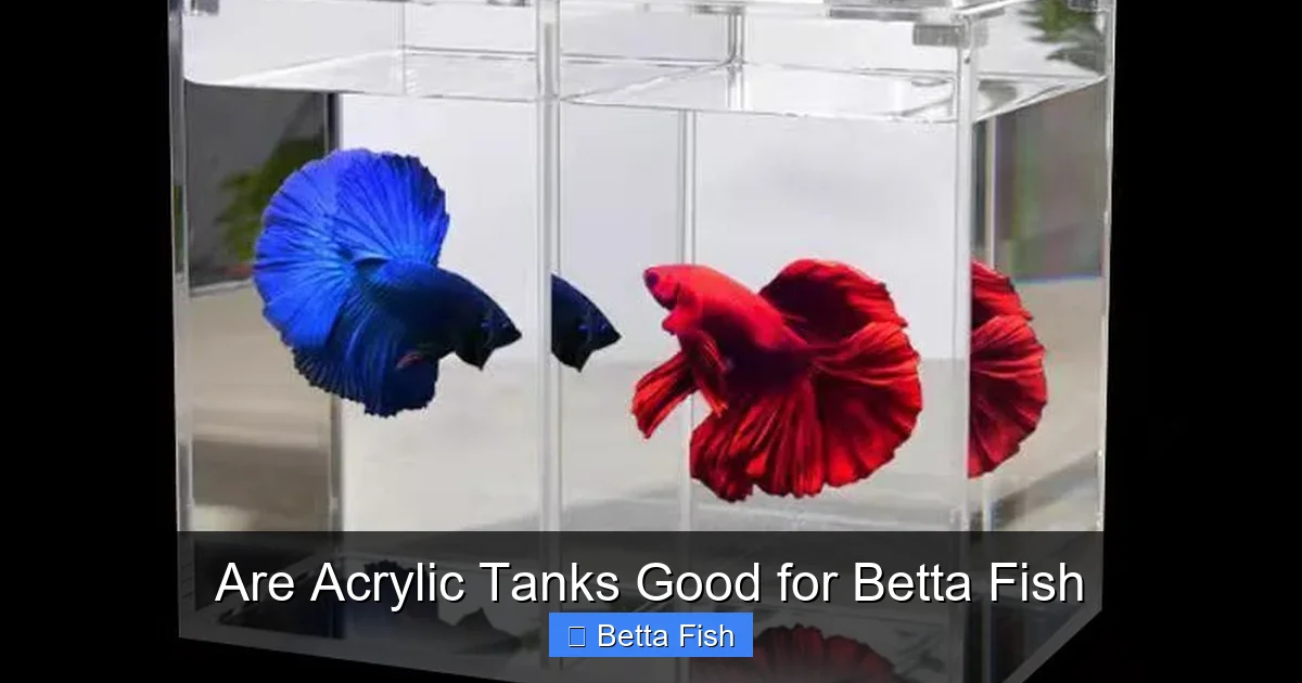 Are Acrylic Tanks Good for Betta Fish