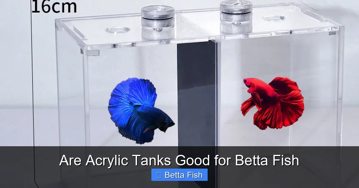 Are Acrylic Tanks Good for Betta Fish