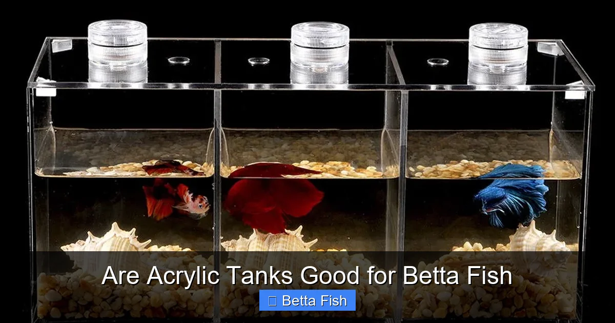 Are Acrylic Tanks Good for Betta Fish