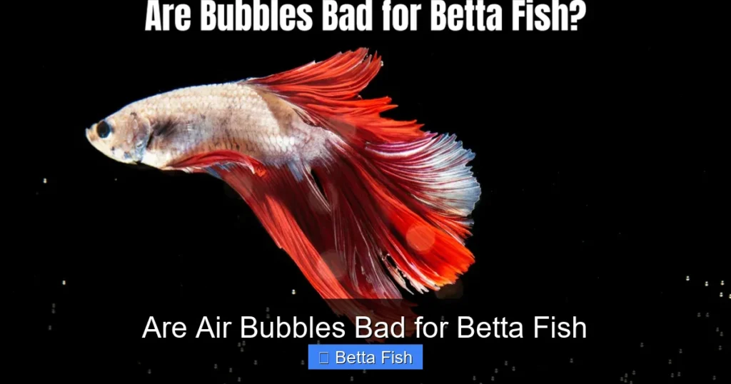 Are Air Bubbles Bad for Betta Fish