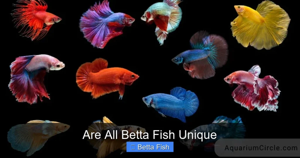 Are All Betta Fish Unique
