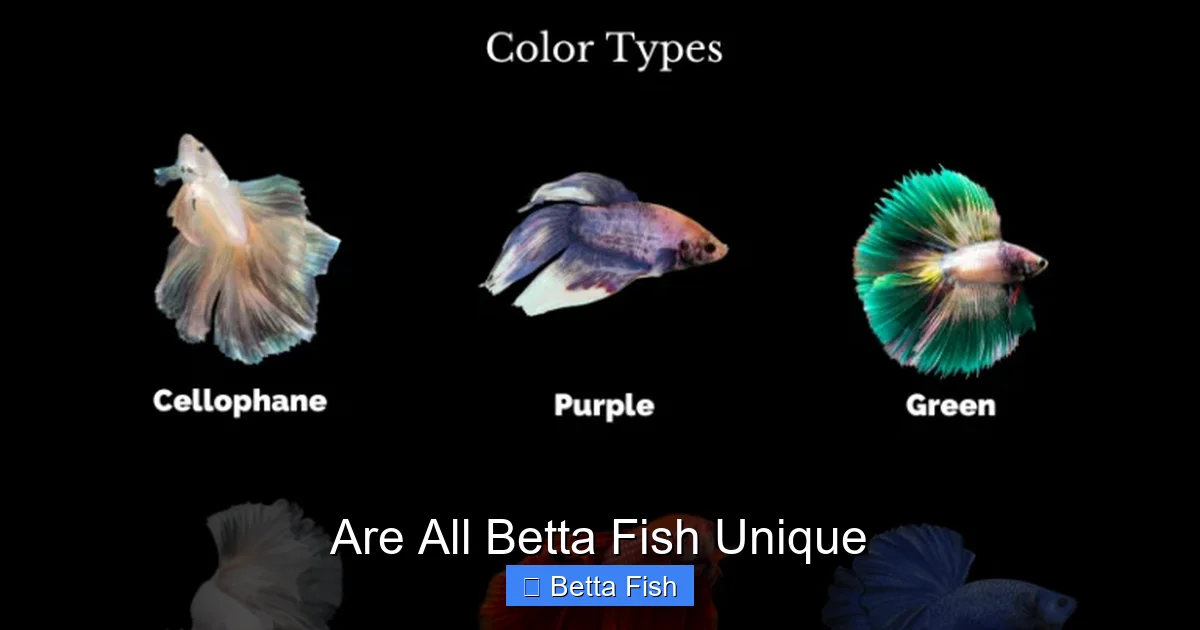 Are All Betta Fish Unique