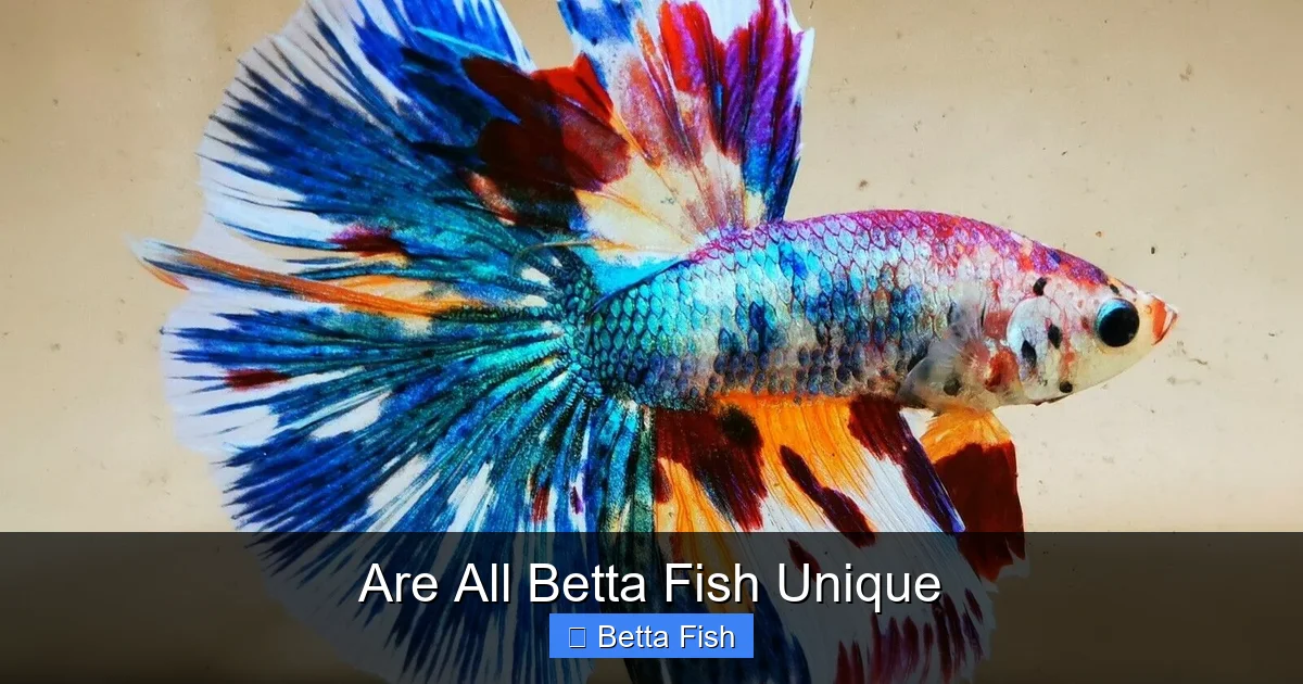 Are All Betta Fish Unique