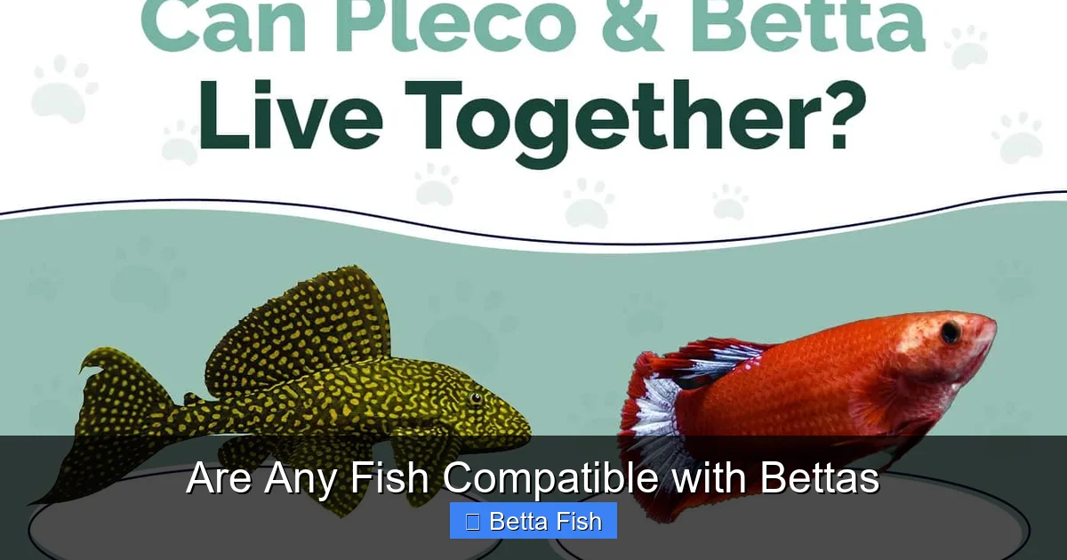 Are Any Fish Compatible with Bettas