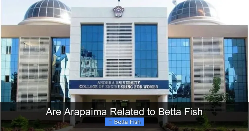 Are Arapaima Related to Betta Fish
