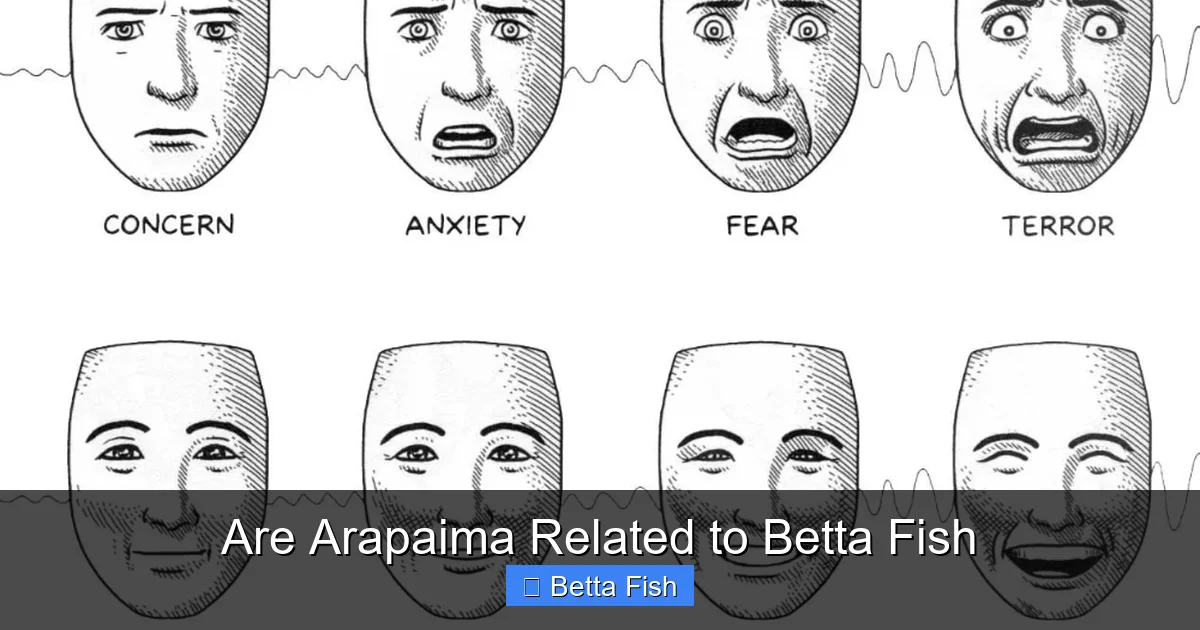 Are Arapaima Related to Betta Fish
