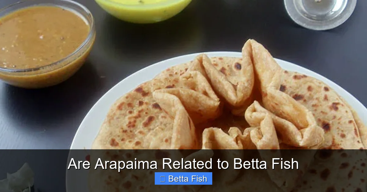 Are Arapaima Related to Betta Fish