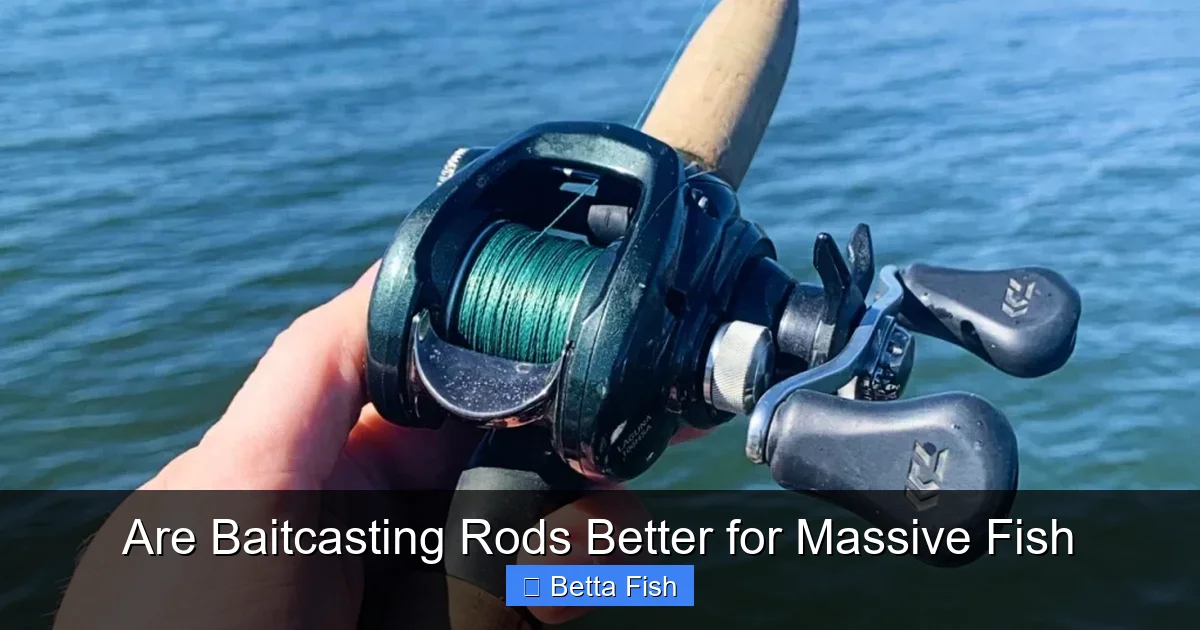 Are Baitcasting Rods Better for Massive Fish