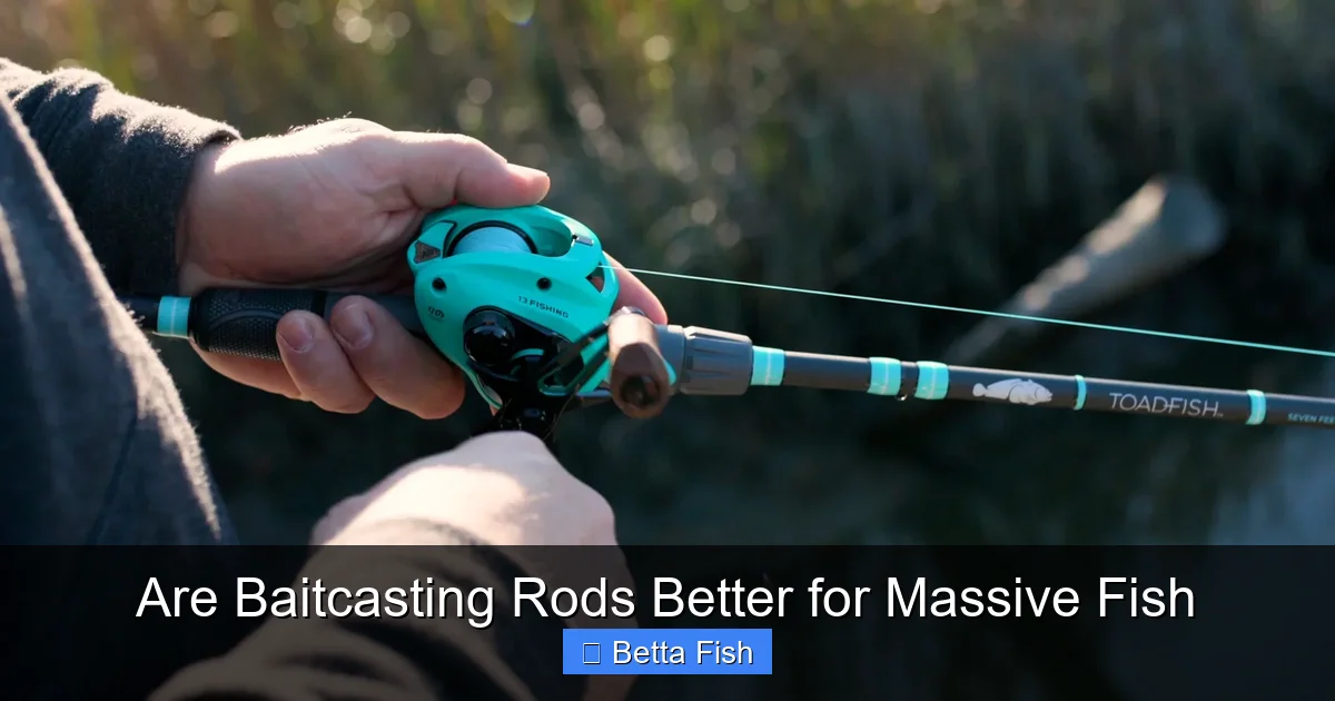 Are Baitcasting Rods Better for Massive Fish