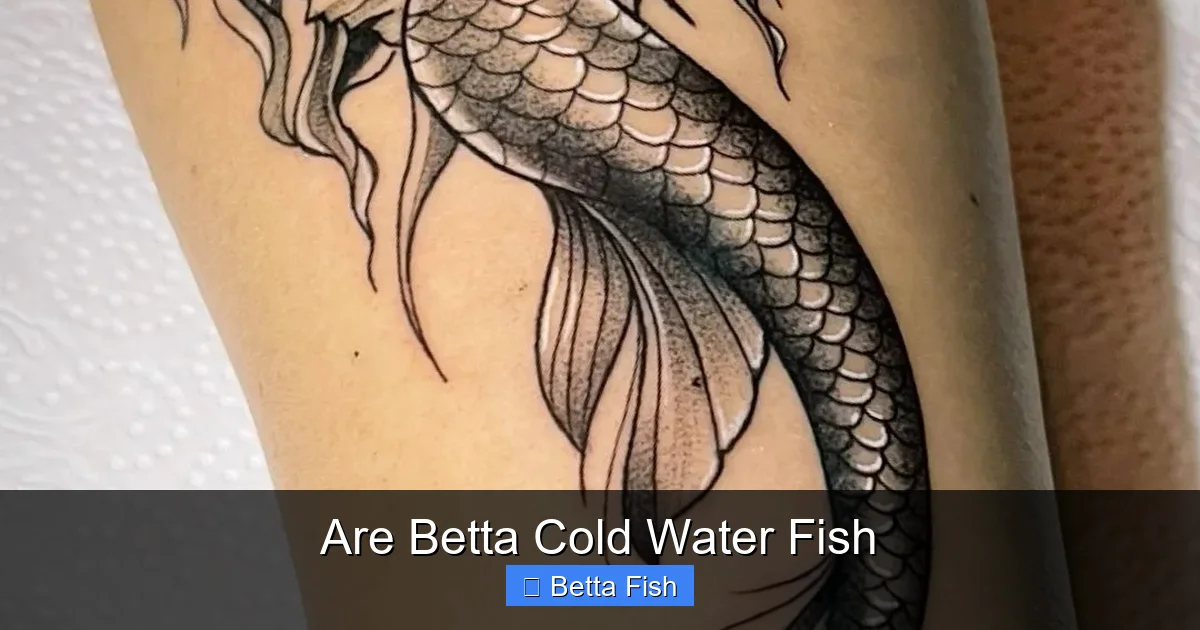 Are Betta Cold Water Fish