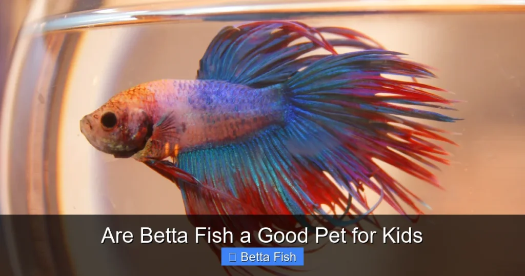 Are Betta Fish a Good Pet for Kids
