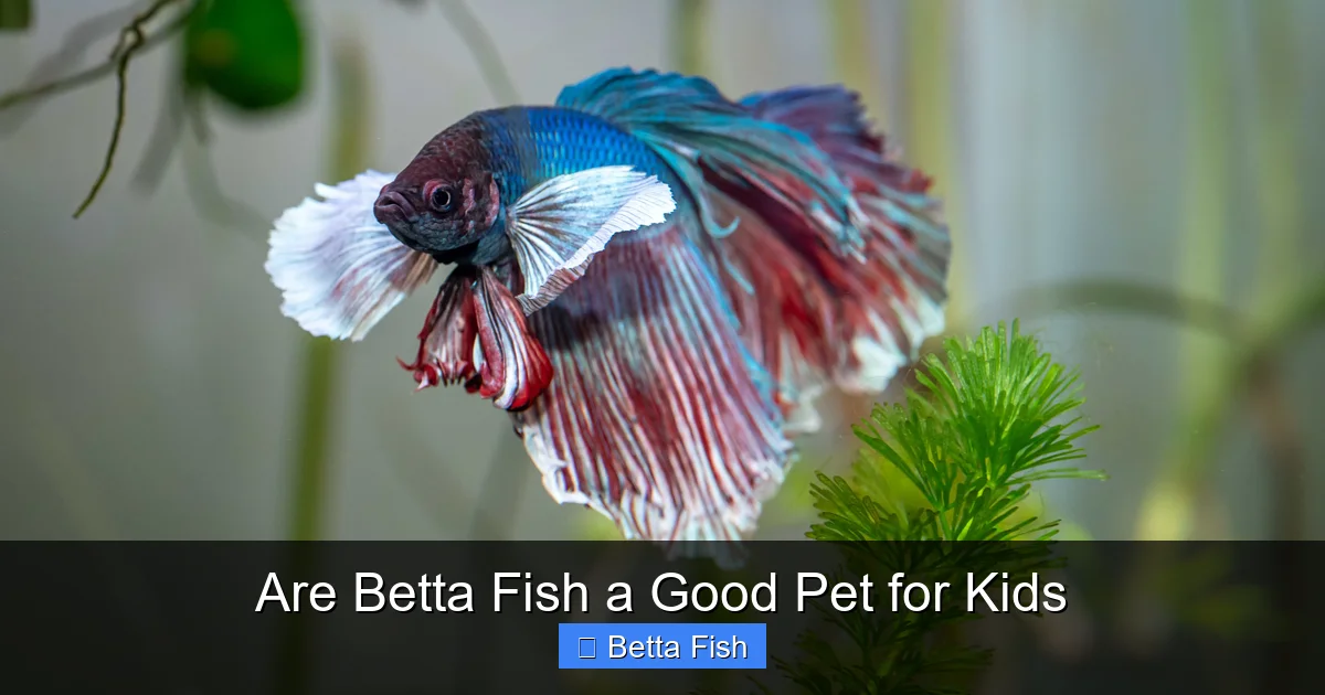 Are Betta Fish a Good Pet for Kids
