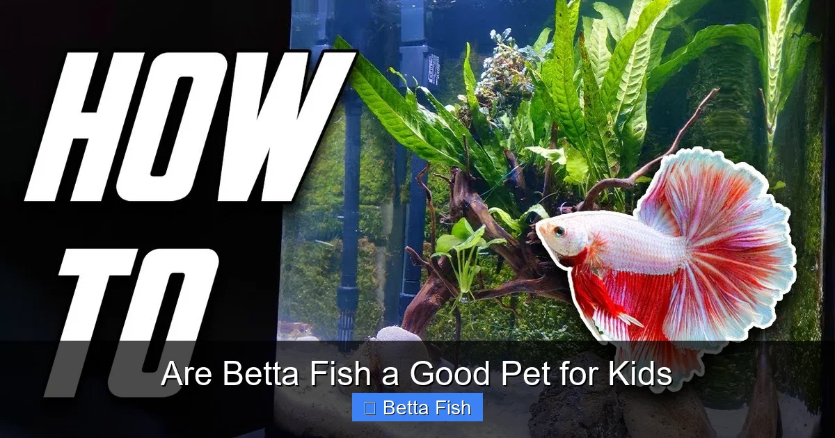 Are Betta Fish a Good Pet for Kids