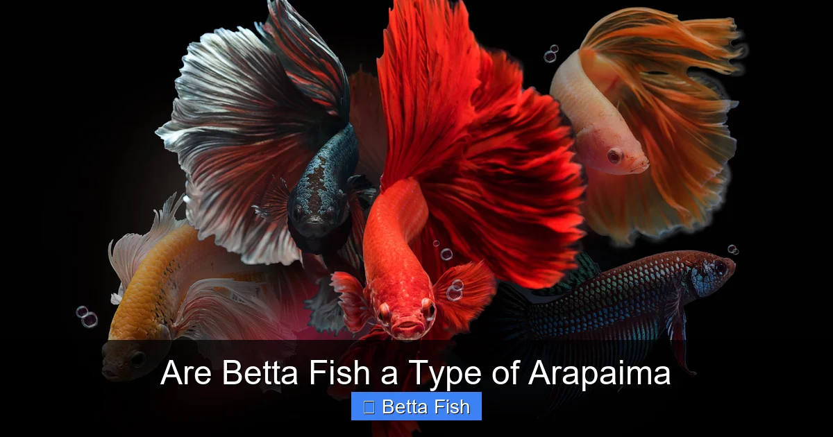 Are Betta Fish a Type of Arapaima