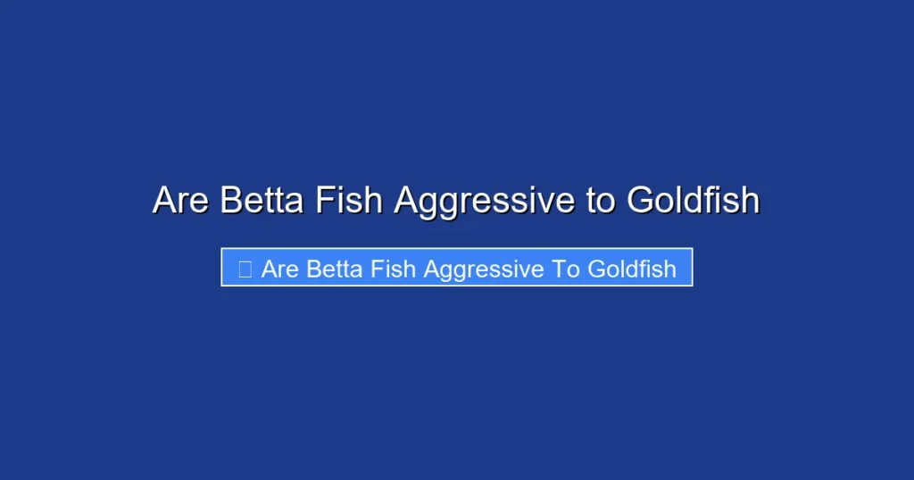 Are Betta Fish Aggressive to Goldfish
