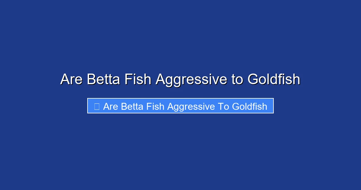 Are Betta Fish Aggressive to Goldfish