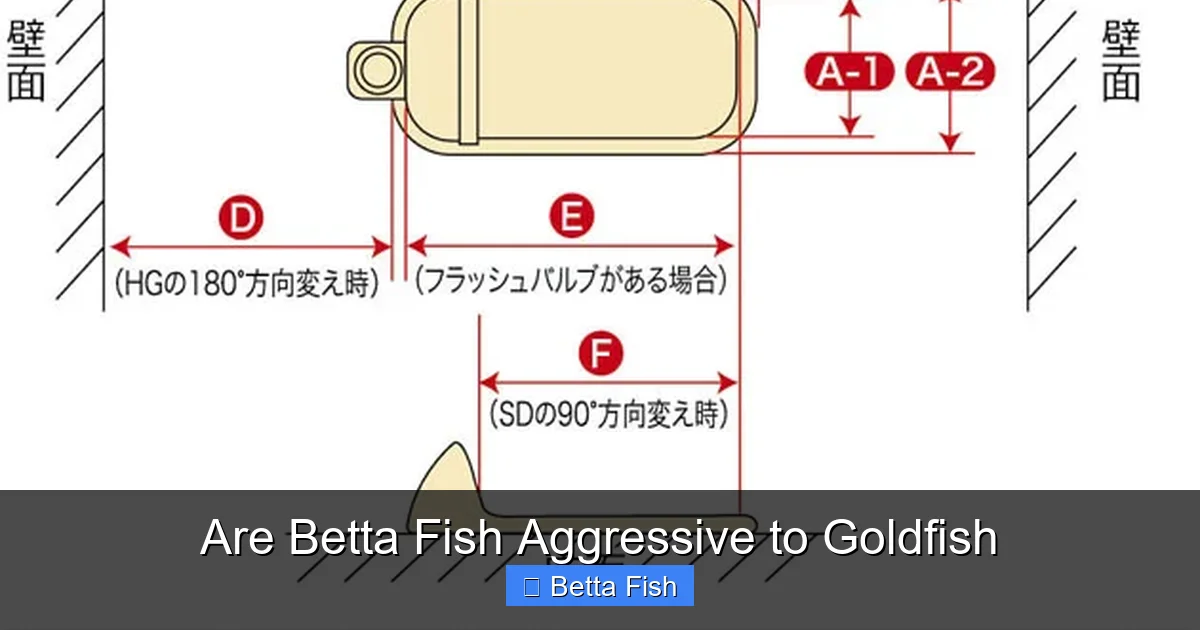 Are Betta Fish Aggressive to Goldfish