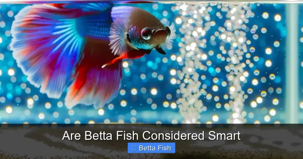 Are Betta Fish Considered Smart