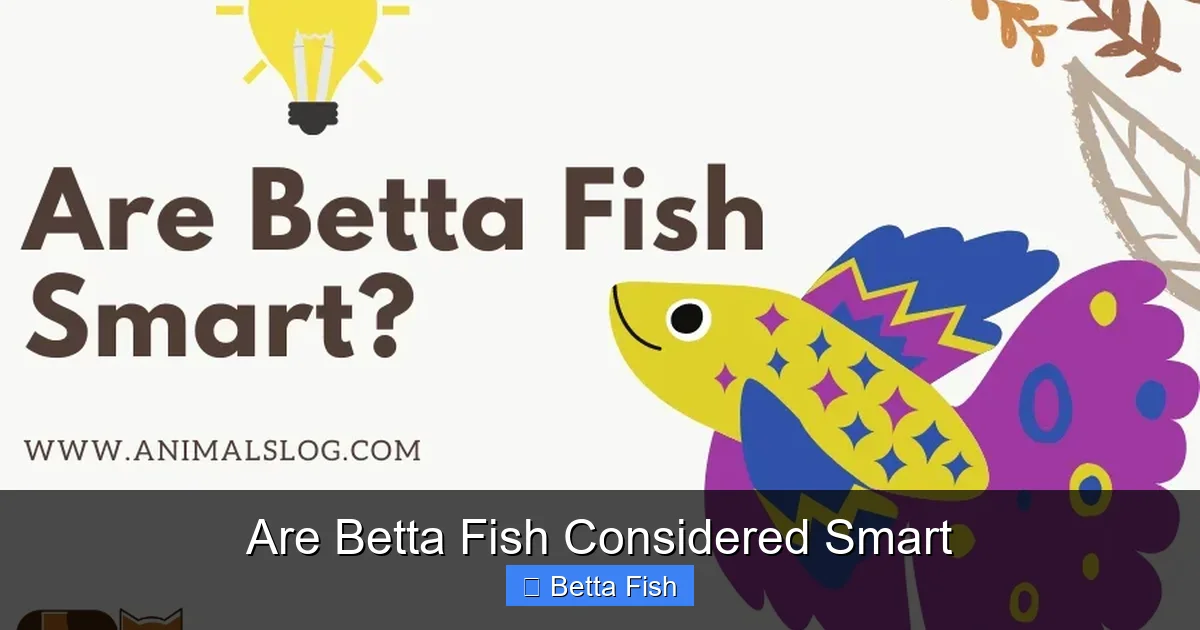 Are Betta Fish Considered Smart