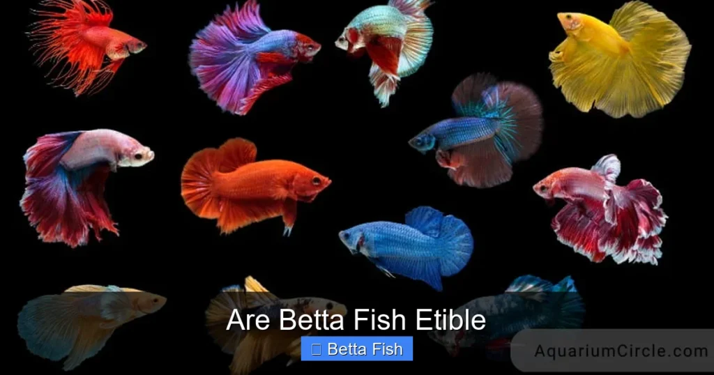 Are Betta Fish Etible
